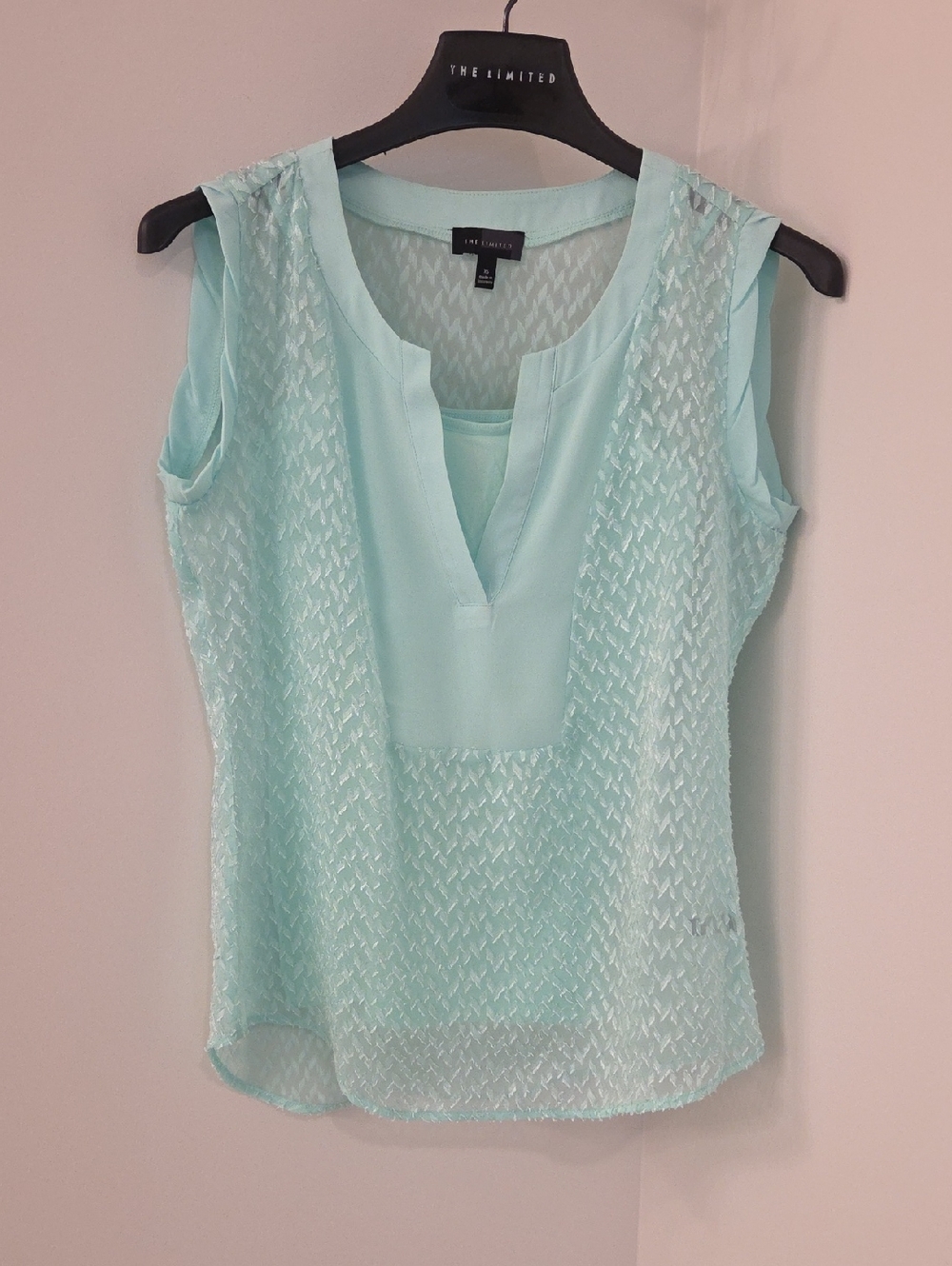 The Limited Mint Green Sleeveless V-Neck With Camisole, 2-piece Set